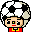 soccor.gif